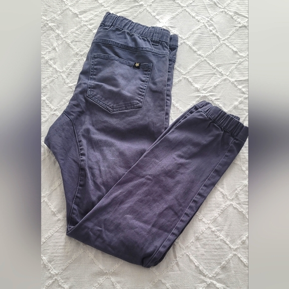 Purplish Color Zoo York Structured Jogger Pants, Size M - Picture 3 of 12